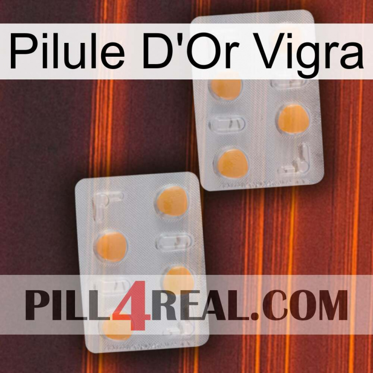 Vigra Gold Pill 25